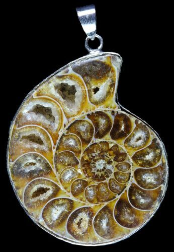 Fossil Ammonite Pendant - Million Years Old #89870